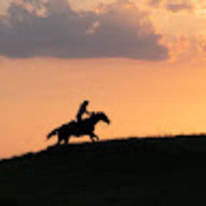 Meet your Posher, Lynn